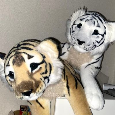 パに〜❗さんのプロフィール画像