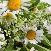 zasha (@zaashaaaa) 's Twitter Profile Photo