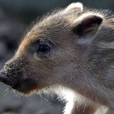 bz178504_jyj's profile picture. 生まれ育ちも陸の孤島(笑)島根県✌❤B'z🎤🎸活動に永久専念中～💖B'z 2025冬のドームツアー参戦無し😭💖TMファミリー💕東方神起5人&2人♥＆TEAM🌟INIりひろむ🌟40までにしたい10のこと🌟BL好きの腐おばさんです(笑)🌟心霊系YouTube～ダラシメン・ニンゲンTV・デニ怖