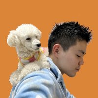 松本幸太郎 (@cannotswift) 's Twitter Profile