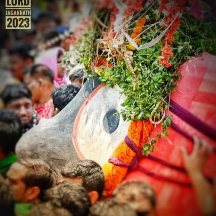 Niranjan4771's profile picture. Seeking for an opportunity to shine...Dreamer!!! lords bless....