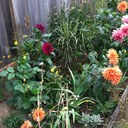 Gail - @Gail_Everett - Twitter