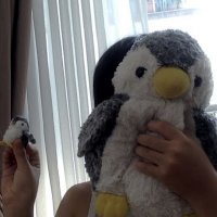 Shengzhe YI (6CCN) (@s6ccn46882) 's Twitter Profile