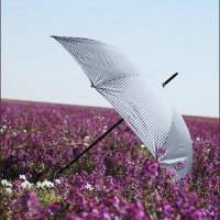 H.M (@hsooon1004) Twitter profile photo