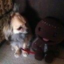 Anna Hugo - @hugo_anna - Twitter