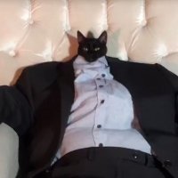 ₿ȺÑK $ĦΞ₿ŁΨ 𓃵 ❤️ Memecoin (@ocampogrt90l) 's Twitter Profile