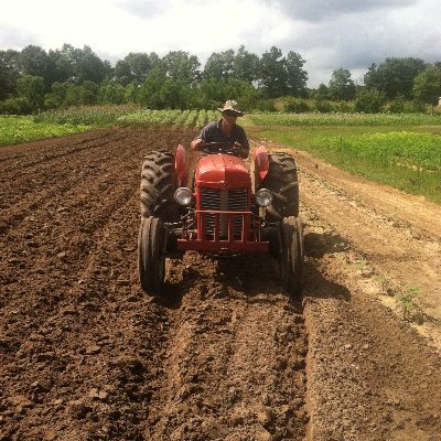 Farmer_DN Profile Picture