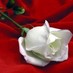 دكتور محمد (@sala_kam) Twitter profile photo دكتور محمد (@sala_kam) Twitter profile photo