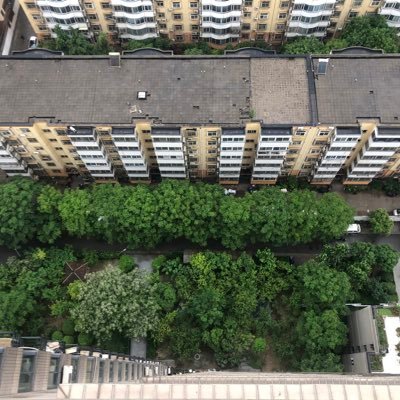 fungfungse's profile picture. 