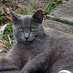 ive_been_raptured let my cat out (@i_been_raptured) Twitter profile photo ive_been_raptured let my cat out (@i_been_raptured) Twitter profile photo