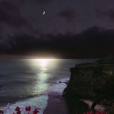 wejdanxq's profile picture. 