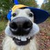 puyls (@puyls_) Twitter profile photo puyls (@puyls_) Twitter profile photo