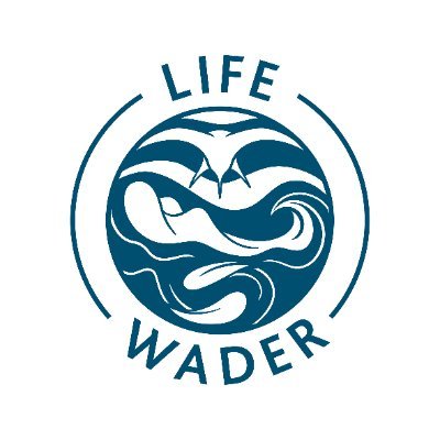 LifeWader Profile Picture