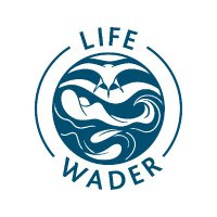 LIFE WADER (@lifewader) 's Twitter Profile Photo LIFE WADER (@lifewader) 's Twitter Profile Photo