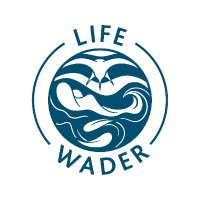 LIFE WADER(@LifeWader) 's Twitter Profileg