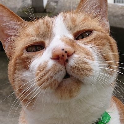 れいさんのプロフィール画像