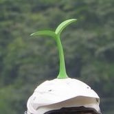 ヨシ行く蔵@HFE 🌱 (@hayfeverevery) 's Twitter Profile Photo ヨシ行く蔵@HFE 🌱 (@hayfeverevery) 's Twitter Profile Photo