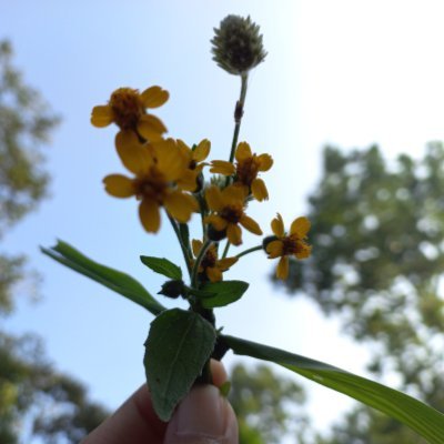 labanalyst_me's profile picture. 