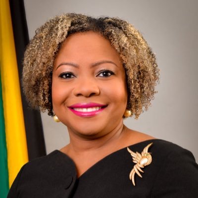 Senator | Minister (Skills & Digital Transformation) | Jamaican 🇯🇲