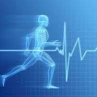 ASSERT_709's profile picture. Sport-specific, fitness and performance testing and education for all athletes. Owned and Operated by Drs. Kevin Power, Duane Button and Greg Pearcey.