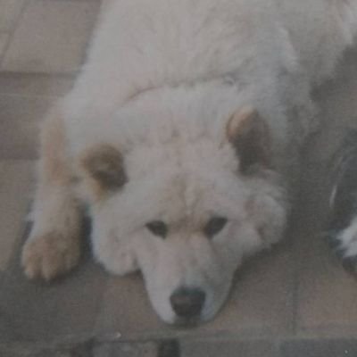 Johannvdwe's profile picture. 