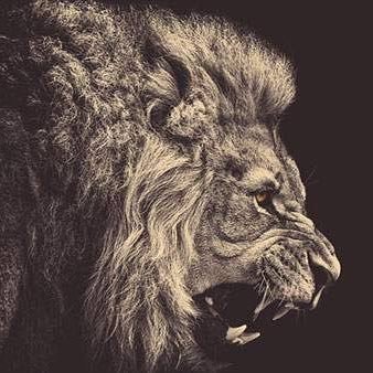 ARIGATO_MiRi's profile picture. 俺はなる必ずな。良い男で影響力のある男に。必ずBICMONEYを掴み取る男になる