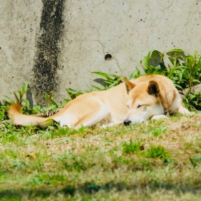 conpota8_17's profile picture. ボードゲーム／風景写真撮影／ダーツ／が趣味です！！！他にも色々遊んでます。