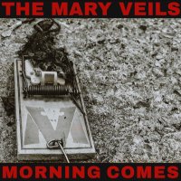The Mary Veils @pnkslm(@themaryveils) 's Twitter Profile Photo