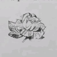 Freix (@fraxa) 's Twitter Profile