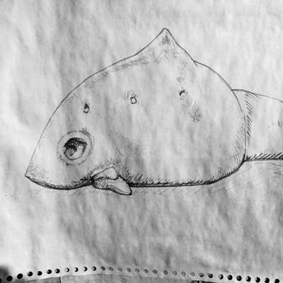 KUR0mk2's profile picture. よこはま在住のJapanese pig。3度の飯とおやつとビールとアニメと特撮とマンガとゲームと鷲崎さんのラジオが好き。アイコンはガヴァドンA。最近の休日は虚無。