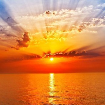 anewera41's profile picture. 