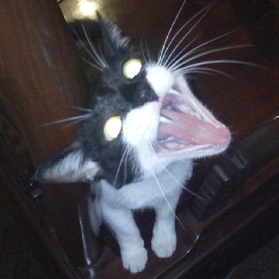 GeoWang215's profile picture. Easy come easy go.