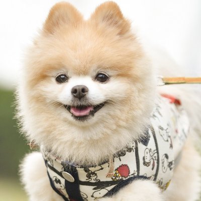 waruda15's profile picture. ひたすら原神を続けているアカウント
ゲーム＜＜グッズのほうが課金額多め
蛍ちゃんかわいい