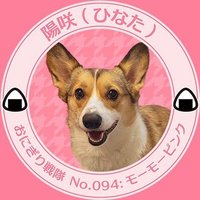 コーギーのひなた︎︎︎︎♀⸜🌷︎⸝(るなもぐ) (@luuuuuna_mg) 's Twitter Profile