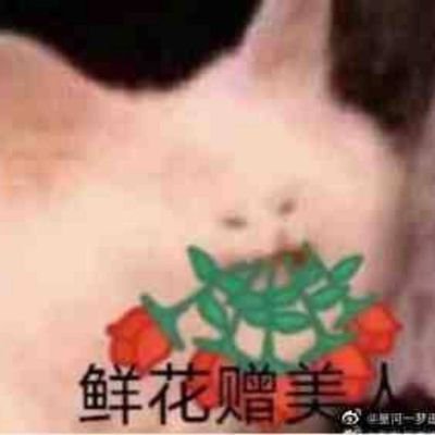 清肝明目567 (@qingganmingmu) / Twitter