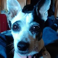 Scottie Binyons (@b82scottie) 's Twitter Profile