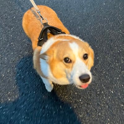 SocornE9's profile picture. #wassie