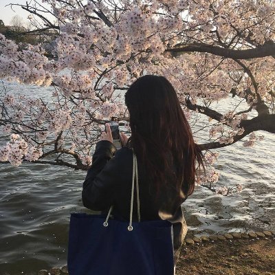 Amy_mochik's profile picture. An old pond, and the sound of a frog jumping in.