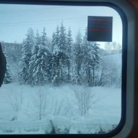 zetateam_nft ❤️ Memecoin (@overton1x5jjm5) 's Twitter Profile