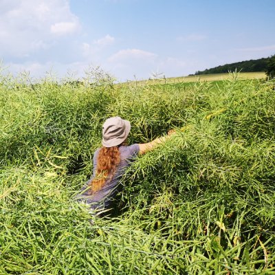 (Agro)ecologist, currently postdoc researcher at Agroscope, loving plant diversity 🌱🌿, books 📖, knitting 🧶 and alpacas 🦙

@LauraStefan@ecoevo.social