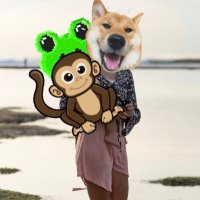 Abdul Majeed ❤️ Memecoin (@glennis9jxns) 's Twitter Profile
