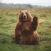 bear (@jobabybear) Twitter profile photo bear (@jobabybear) Twitter profile photo