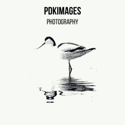 PDKImages Profile Picture