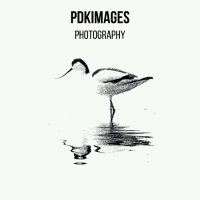 PDKimages(@PDKImages) 's Twitter Profile Photo