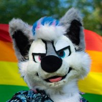 Lycaon (@lycaonwuff) 's Twitter Profile