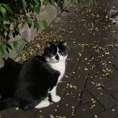 iiampxxm's profile picture. ❥