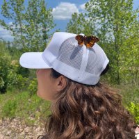 Sofi Zeman (@sofiaazeman) 's Twitter Profile