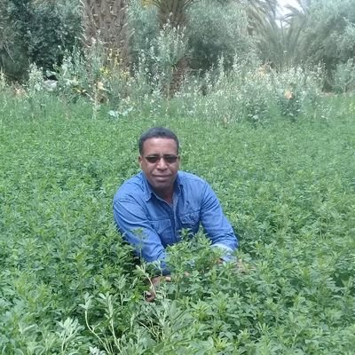 ZidaniAhmed's profile picture. ❤️ الله  🇲🇦  الوطن  🇲🇦  الملك ❤️