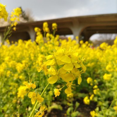 liyin05010731's profile picture. 刀剣乱舞とプロセカと🌈🕒　たまに絵を描きます