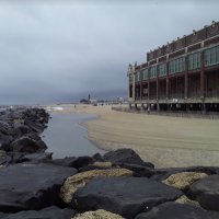 🏖🐚 Mama 🌊 J 📚 Reads 👓 Banned 🚫 Books📖📘📗 (@clashophile) 's Twitter Profile Photo